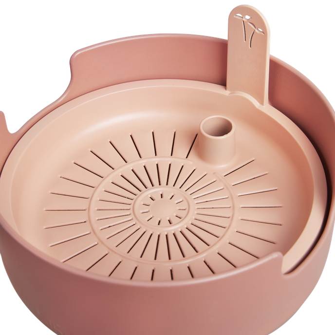 magic microgreens terra caramel